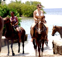 Horseback Ride and Swim Jamaica