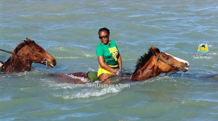 Horseback Ride & Swim on the beach