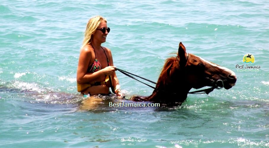 Horseback ride and swim excursion from Montego Bay