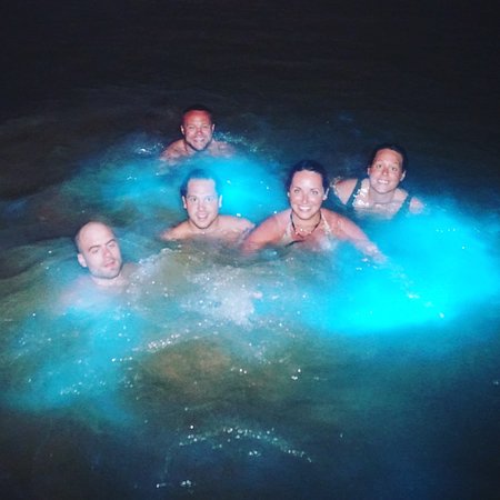 Luminous Lagoon Jamaica night tour