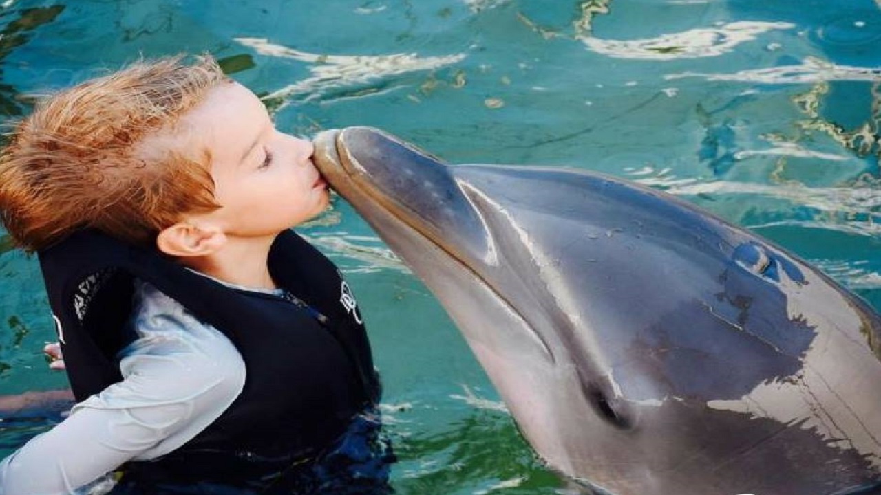 Dolphin Cove Jamaica
