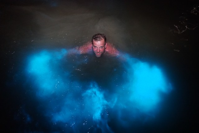 Luminous Lagoon Night Tour