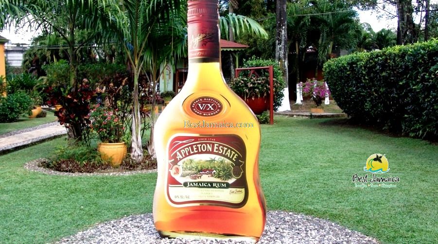 Appleton Estate Rum Tour