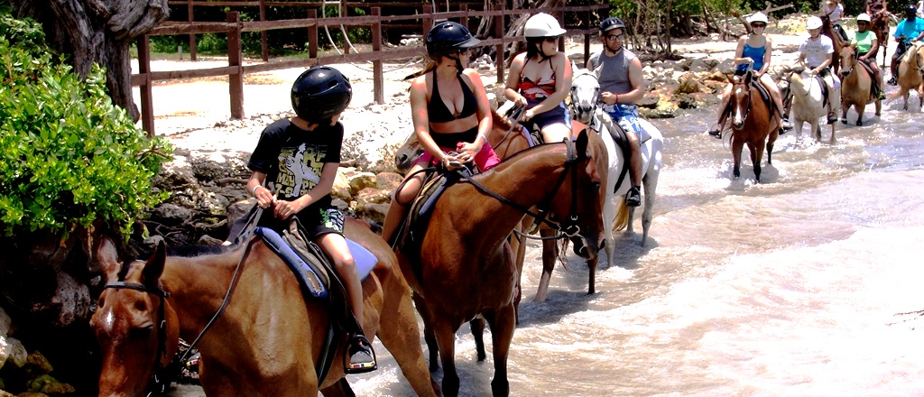 Horseback Riding Tour