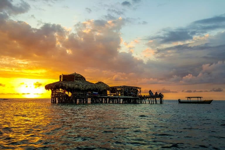 Pelican Bar excursion from Ocean Eden Bay