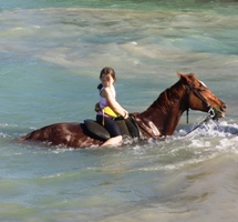 Best Transportation Service in Jamaica