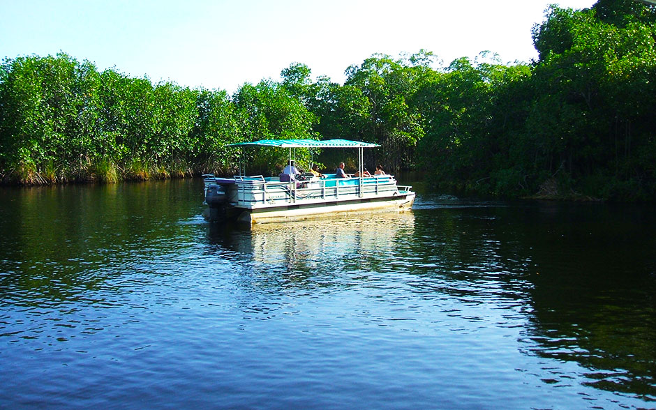 Guests enjoying Black River crocodile tour