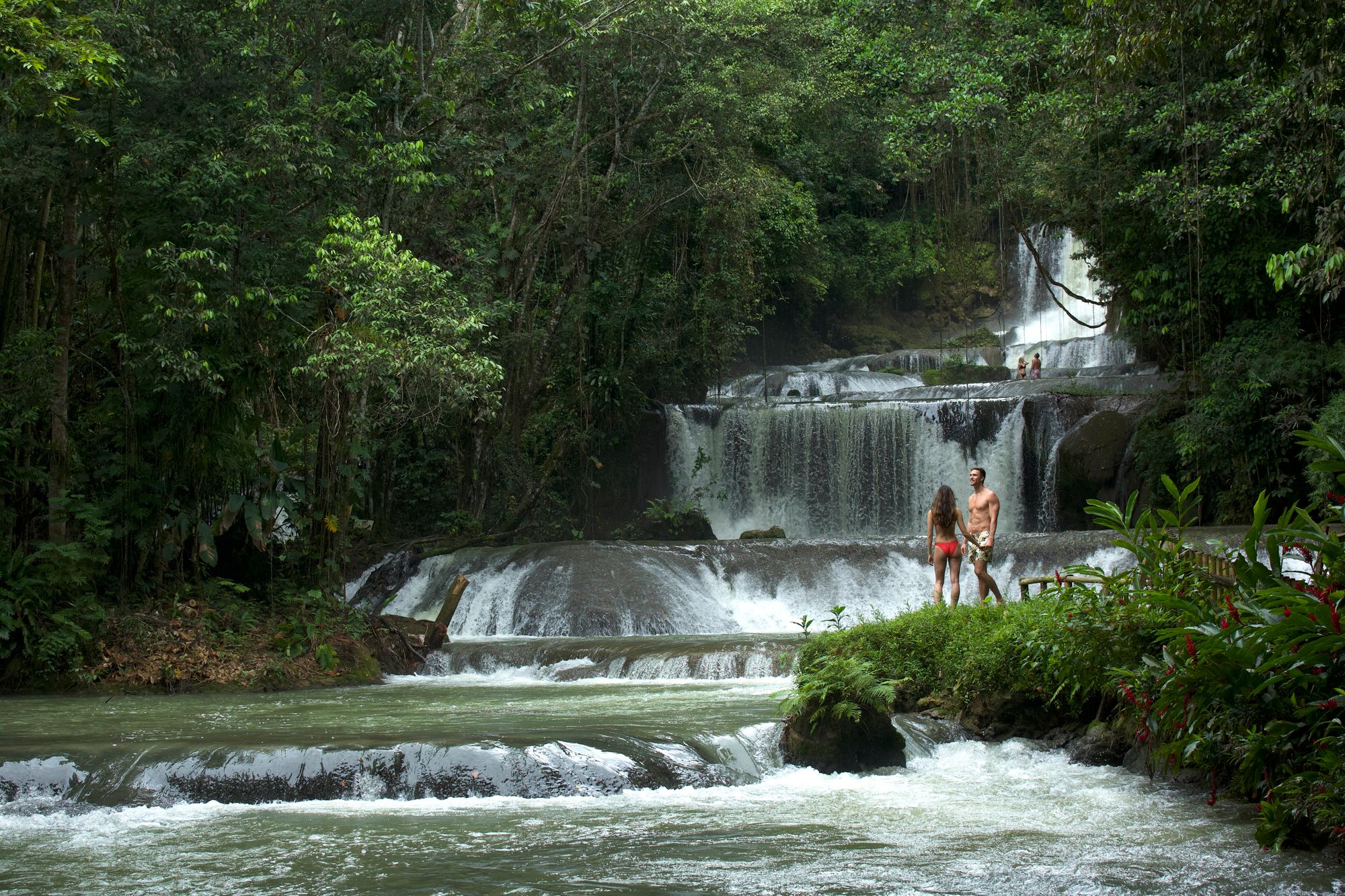 YS Falls lush cascades