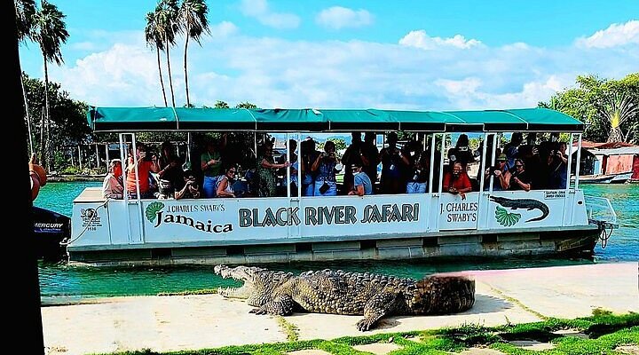 Calm waterways on black river tour